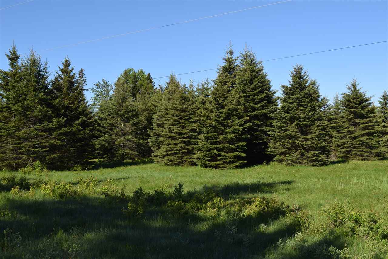 87 Haynes Road Clarksville, NH 03592 - Photo 4 of 7