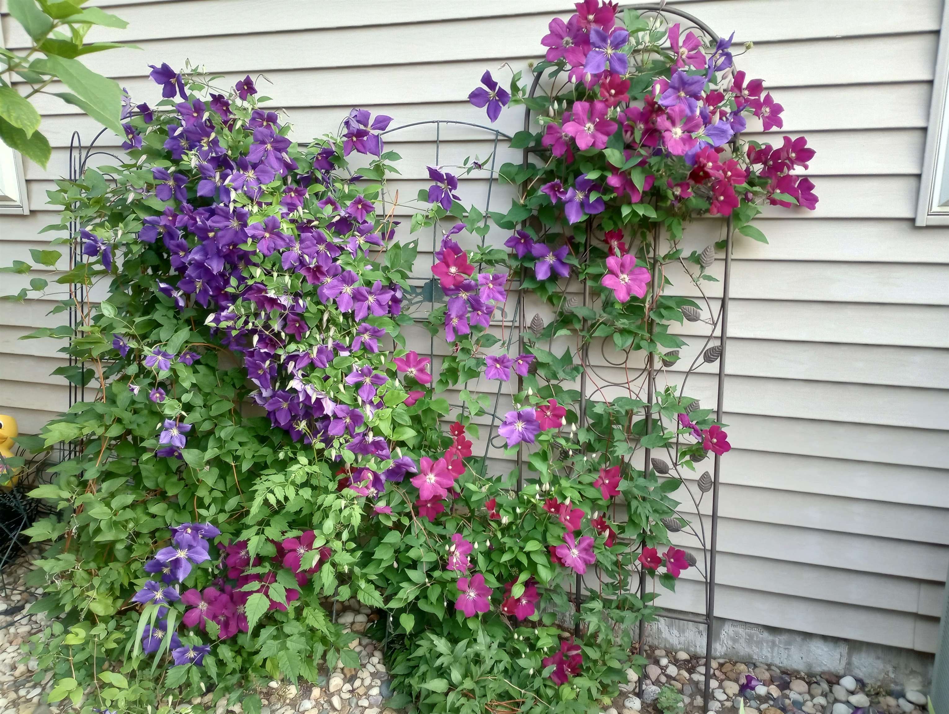 3215 Conservancy Estates Lane Sun Prairie, WI 53590 - Photo 66 of 73