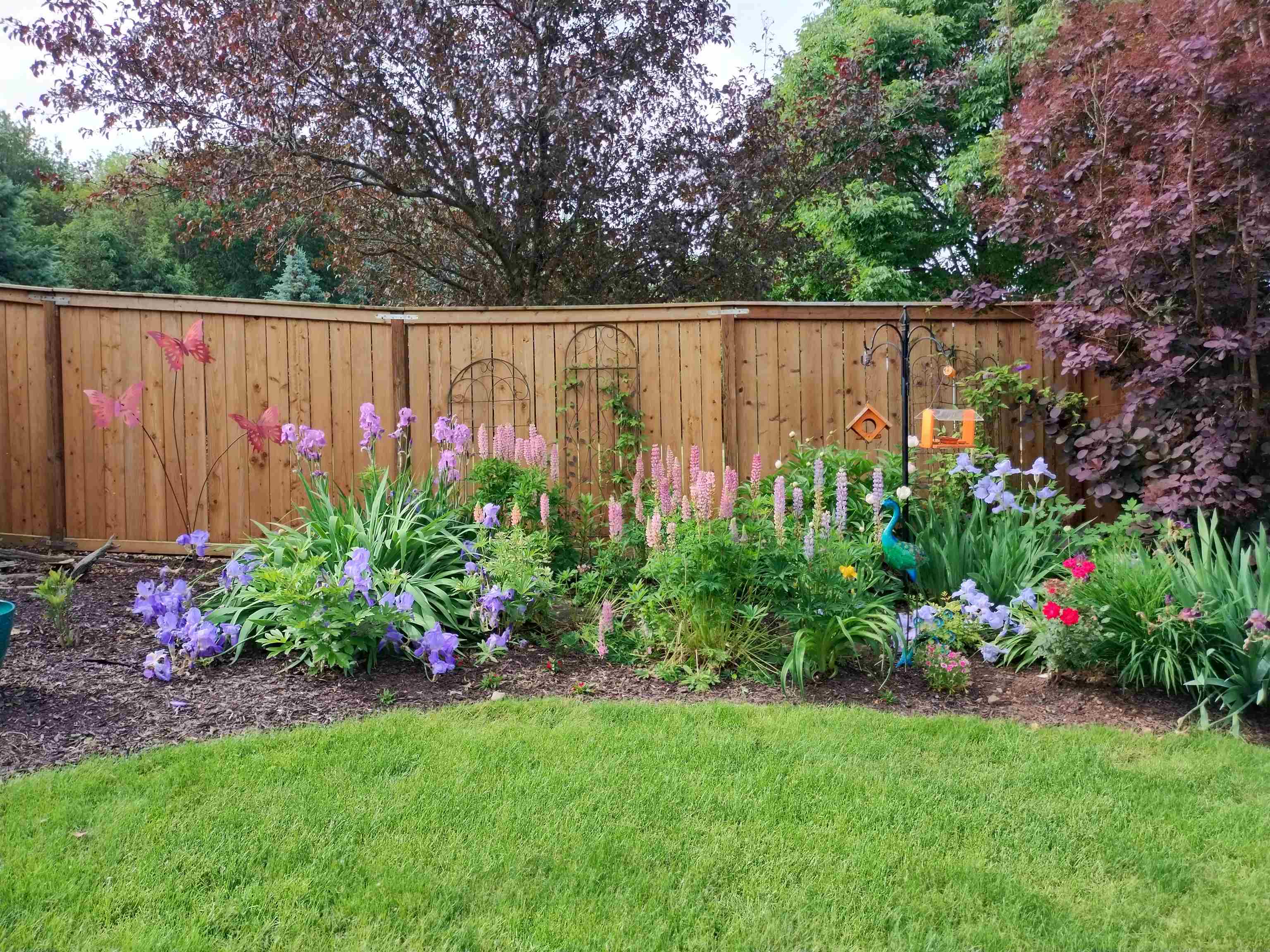 3215 Conservancy Estates Lane Sun Prairie, WI 53590 - Photo 68 of 73