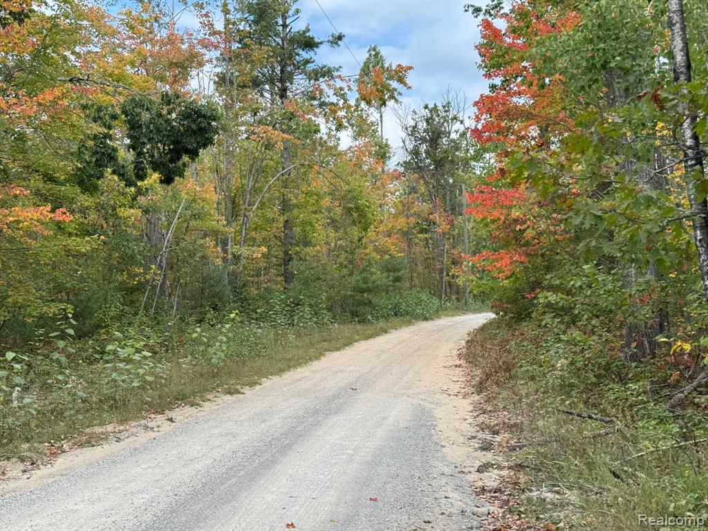 0 Aarons Road Johannesburg, MI 49751 - Photo 2 of 9