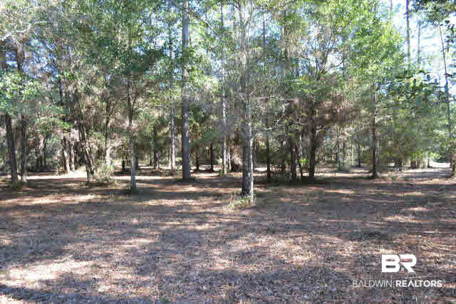 29409 Archie Road Elberta, AL 36530 - Photo 6 of 20 Beautiful trees