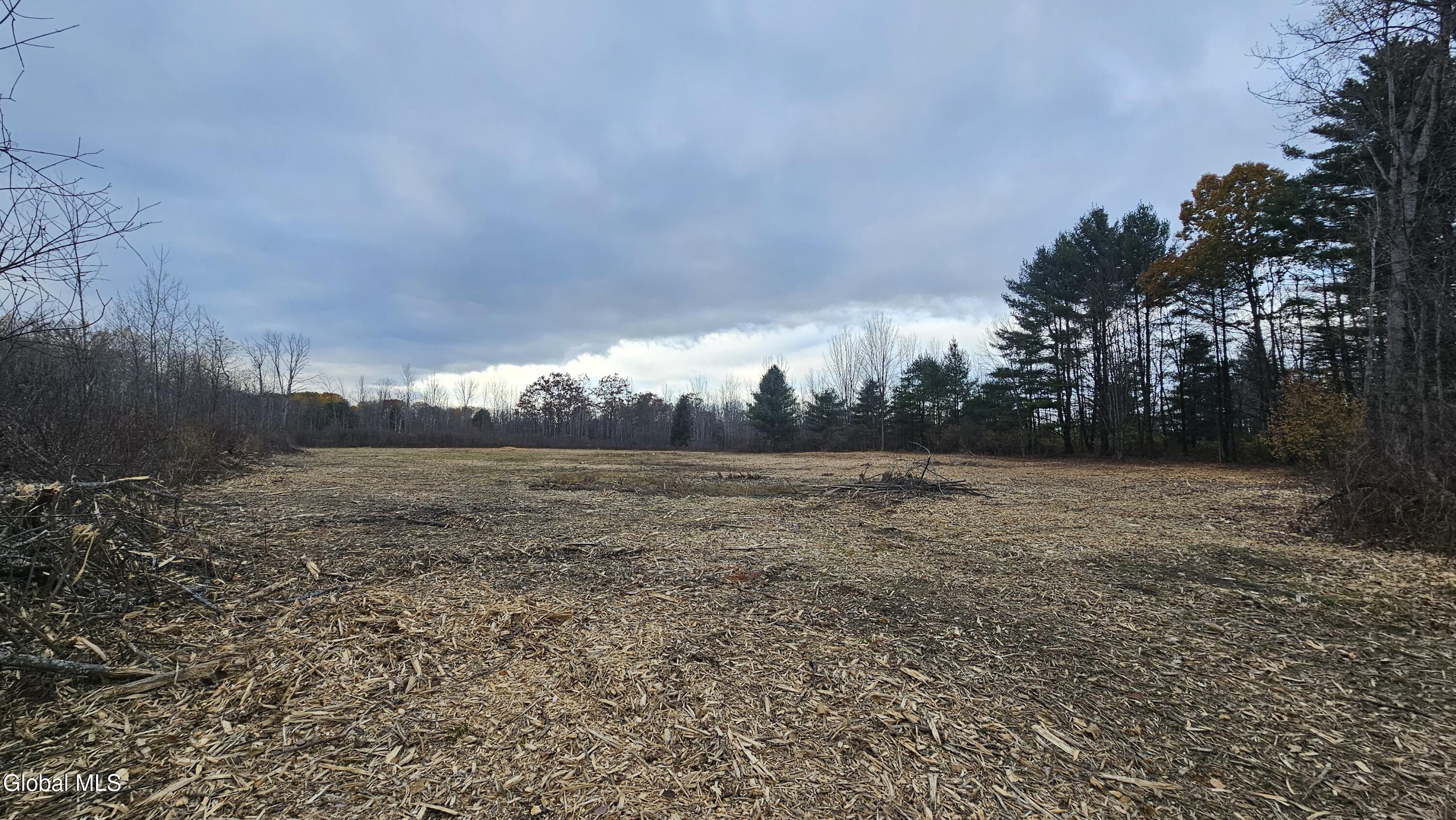 L36 Midline Road Amsterdam, NY 12010 - Photo 2 of 10 20251029_161222