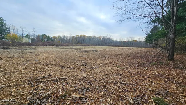 $67,500 | L36 Midline Road, Amsterdam, NY 12010