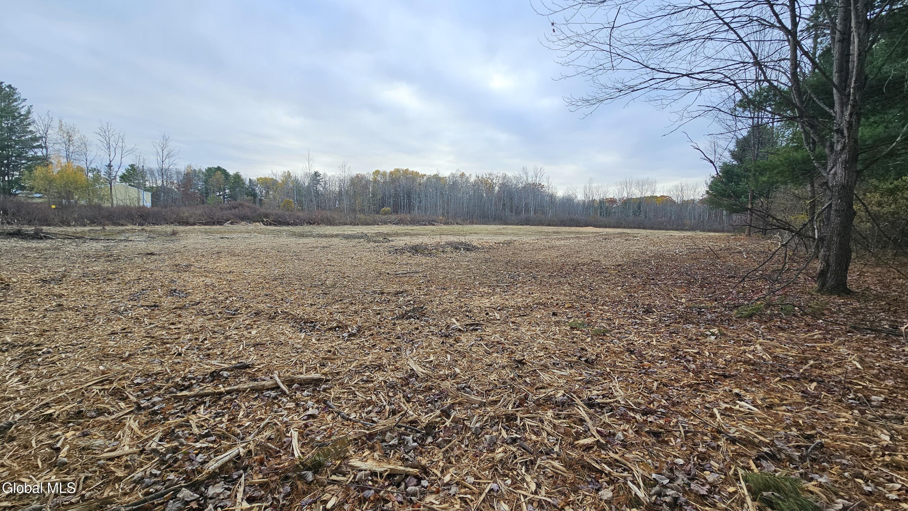 L36 Midline Road Amsterdam, NY 12010 - Photo 4 of 10 20251029_161320