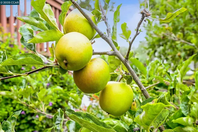 $928,000 | 16063 Berkshire Drive, Castro Valley, CA 94578