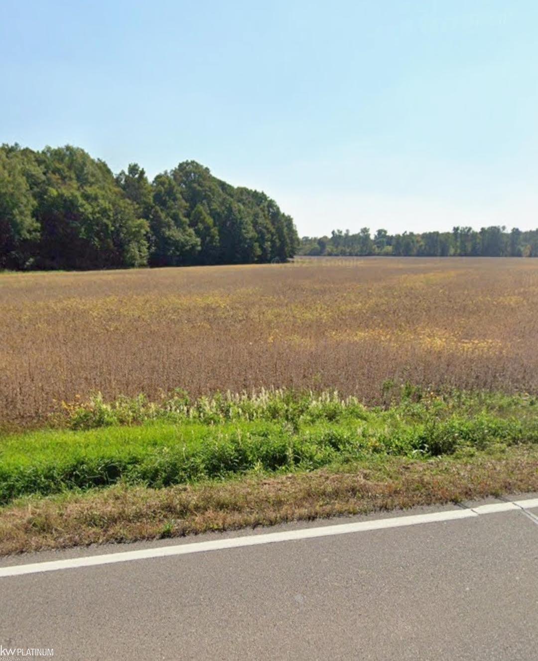 0 Armada Ridge Road Armada, MI 48005 - Photo 1 of 4