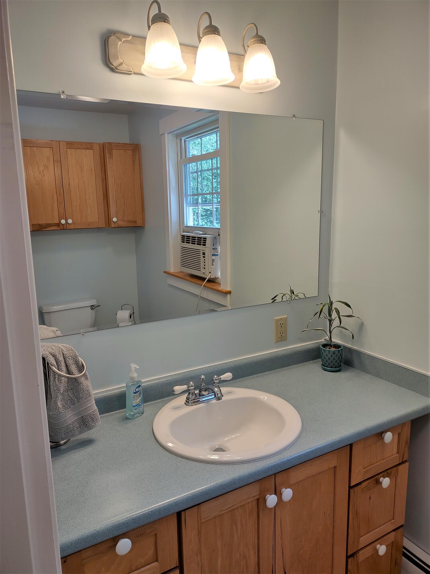 53 Ichabod Lane Hampden, ME 04444 - Photo 36 of 66 Bathroom_Half up