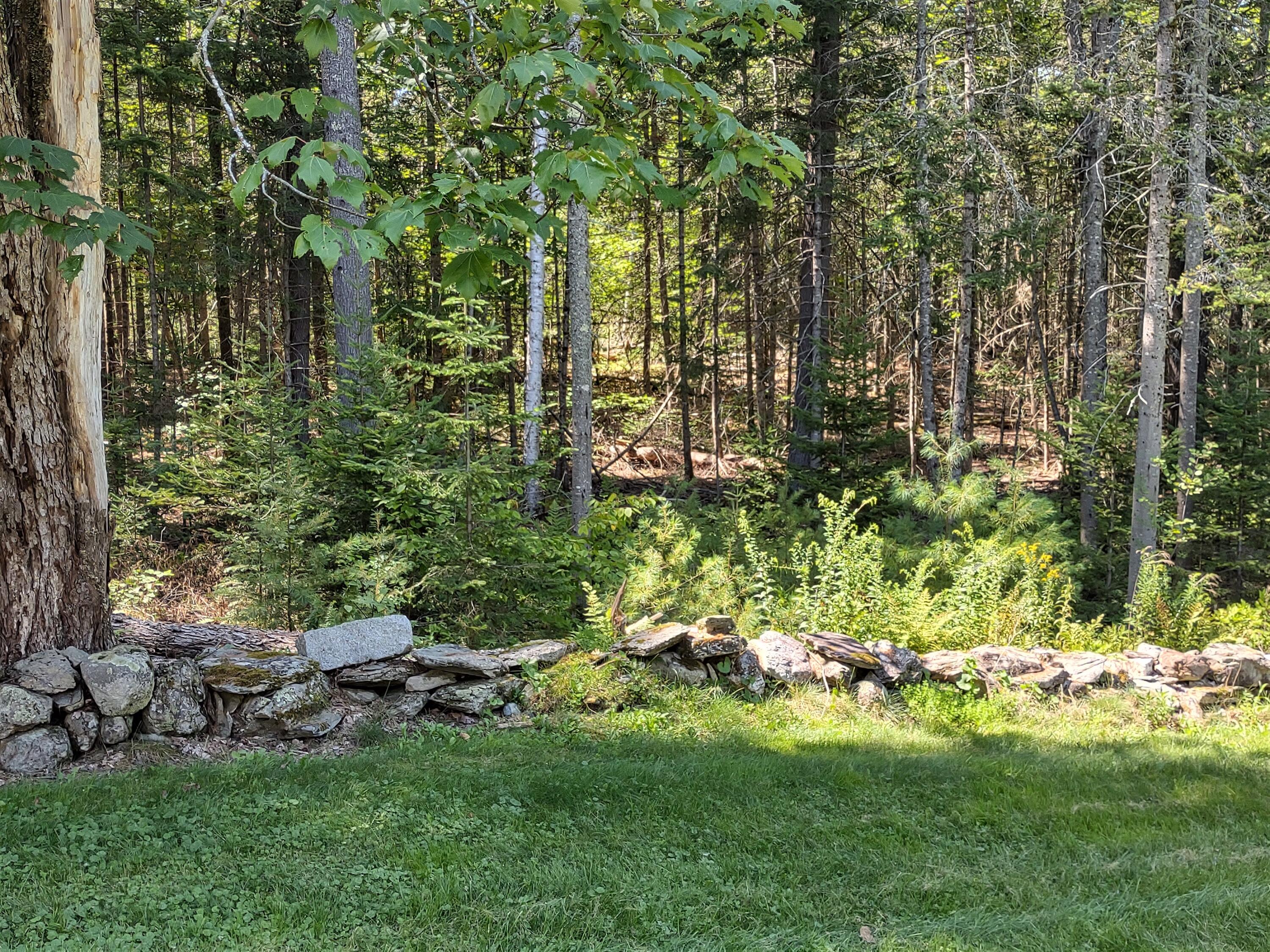 53 Ichabod Lane Hampden, ME 04444 - Photo 62 of 66 Back Yard 2