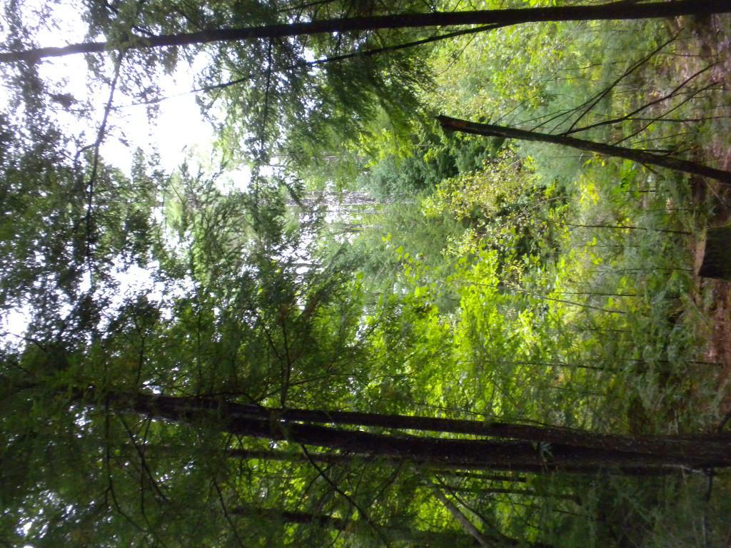 7 River Road Limington, ME 04049 - Photo 14 of 26 Photo