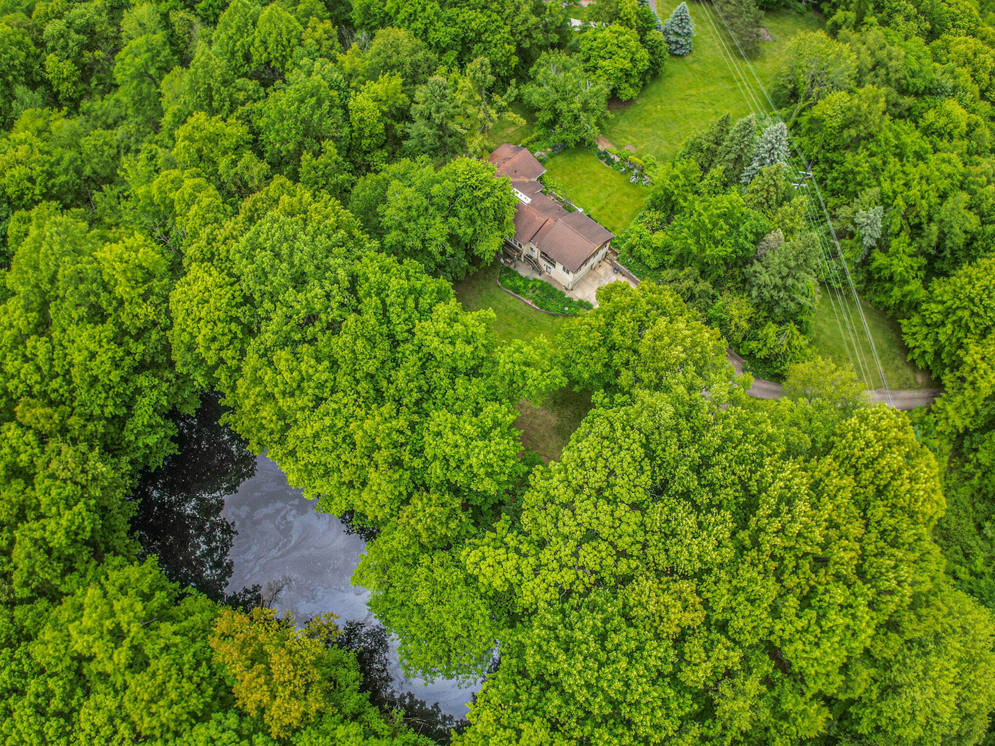 22649 North Dixboro Road South Lyon, MI 48178 - Photo 29 of 47 046_file_681