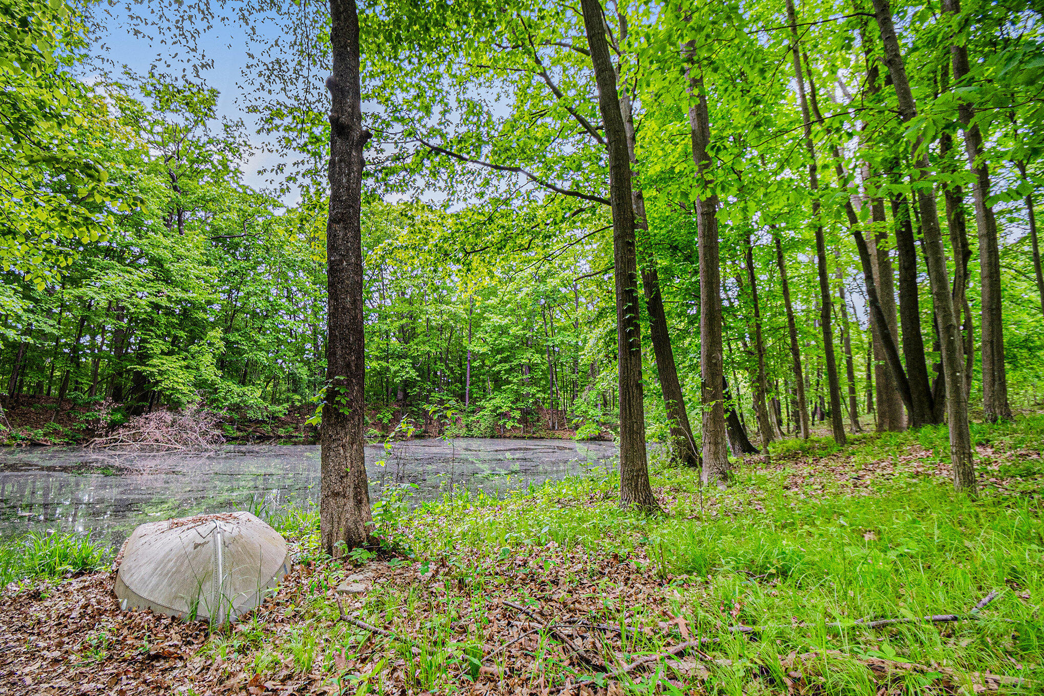 22649 North Dixboro Road South Lyon, MI 48178 - Photo 35 of 47 039_file_252