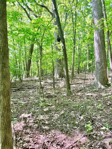 $869,000 | 22649 North Dixboro Road, South Lyon, MI 48178