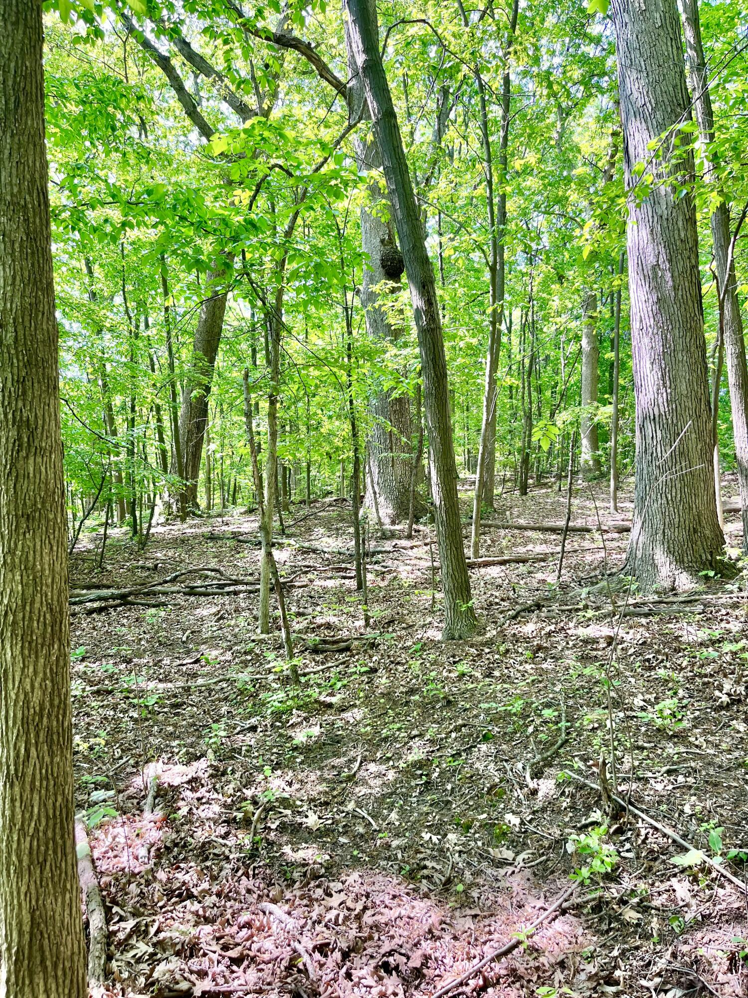 22649 North Dixboro Road South Lyon, MI 48178 - Photo 36 of 47 IMG_5667 2