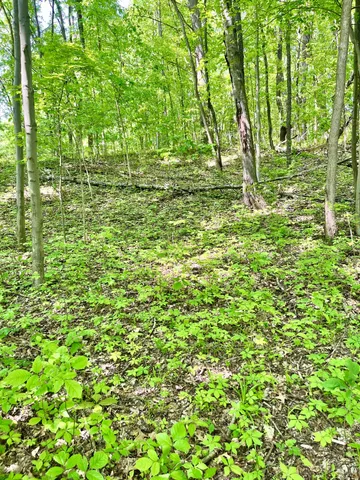 $869,000 | 22649 North Dixboro Road, South Lyon, MI 48178