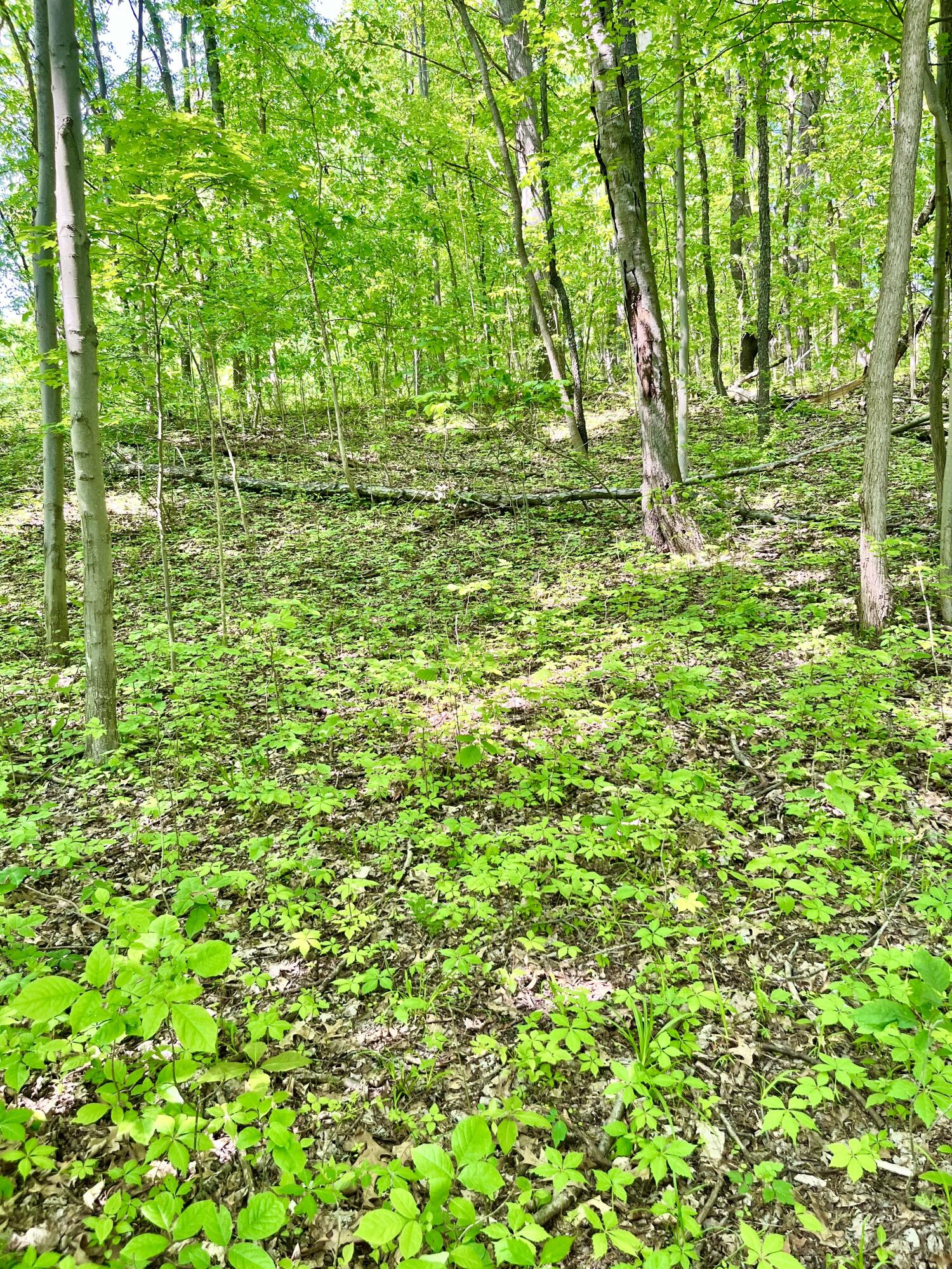 22649 North Dixboro Road South Lyon, MI 48178 - Photo 37 of 47 IMG_5671 2