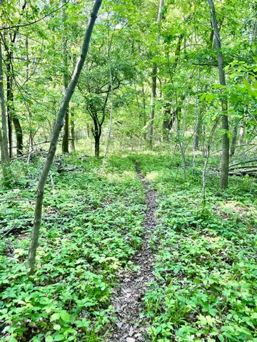 $869,000 | 22649 North Dixboro Road, South Lyon, MI 48178