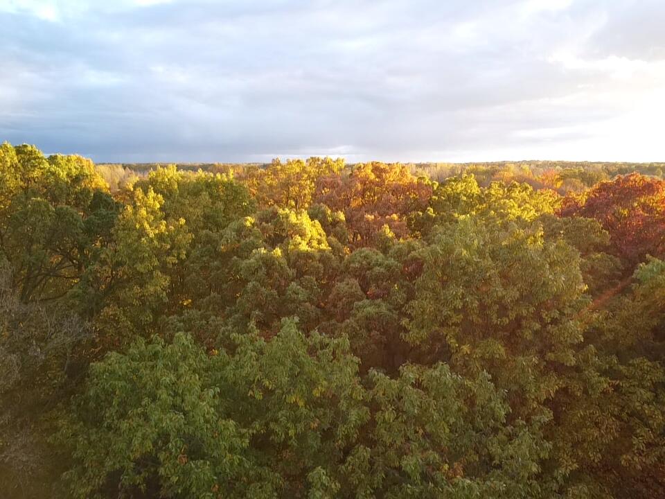 22649 North Dixboro Road South Lyon, MI 48178 - Photo 4 of 47 2025-10-23-18-17-57-284