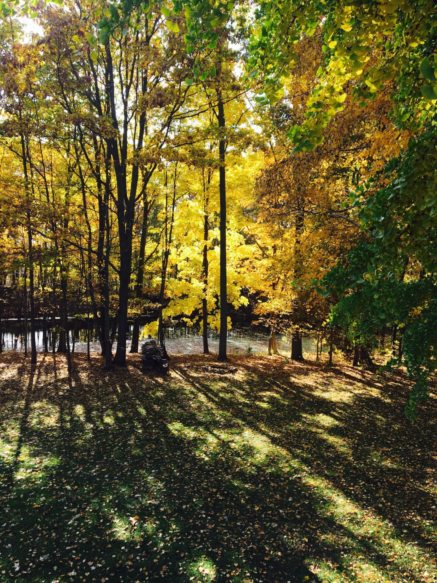 22649 North Dixboro Road South Lyon, MI 48178 - Photo 41 of 47 thumbnail_IMG_1341