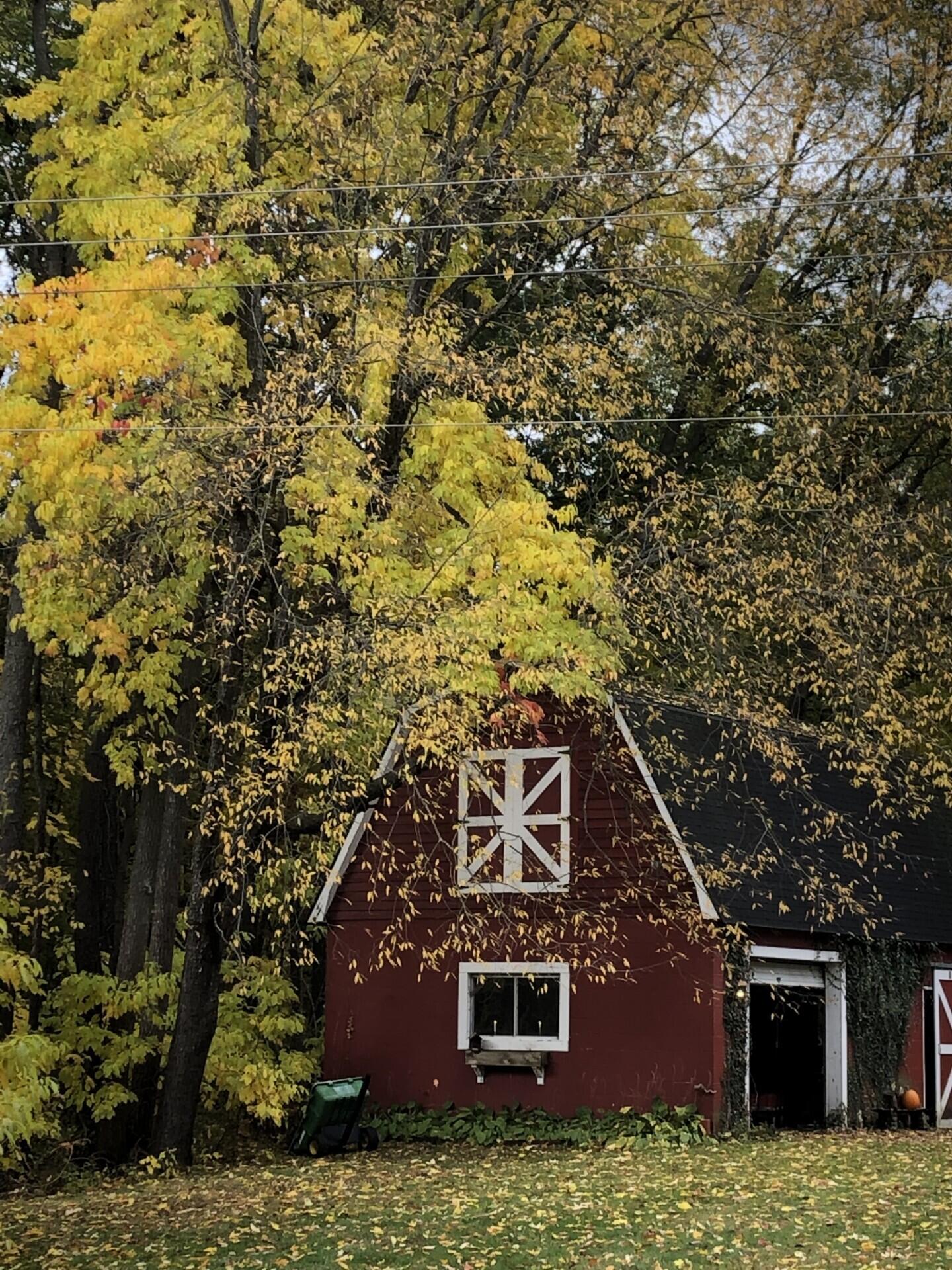 22649 North Dixboro Road South Lyon, MI 48178 - Photo 42 of 47 thumbnail_IMG_1551