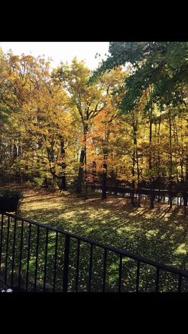 $869,000 | 22649 North Dixboro Road, South Lyon, MI 48178