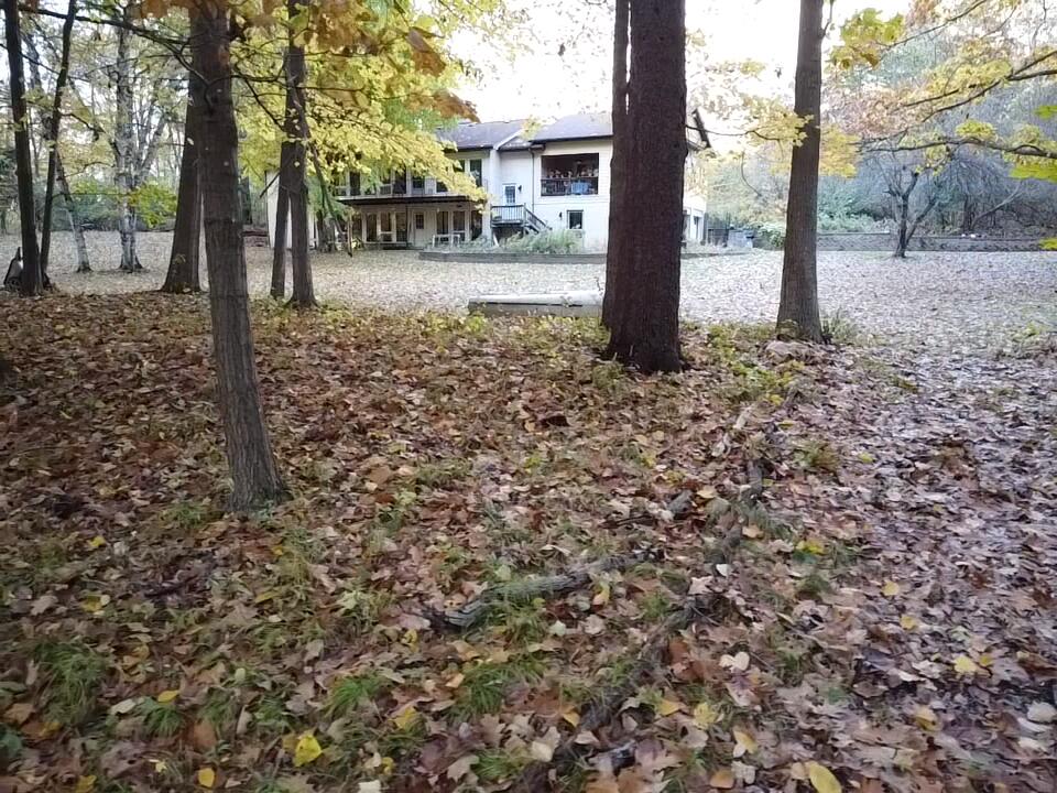 22649 North Dixboro Road South Lyon, MI 48178 - Photo 5 of 47 2025-10-23-18-18-37-485