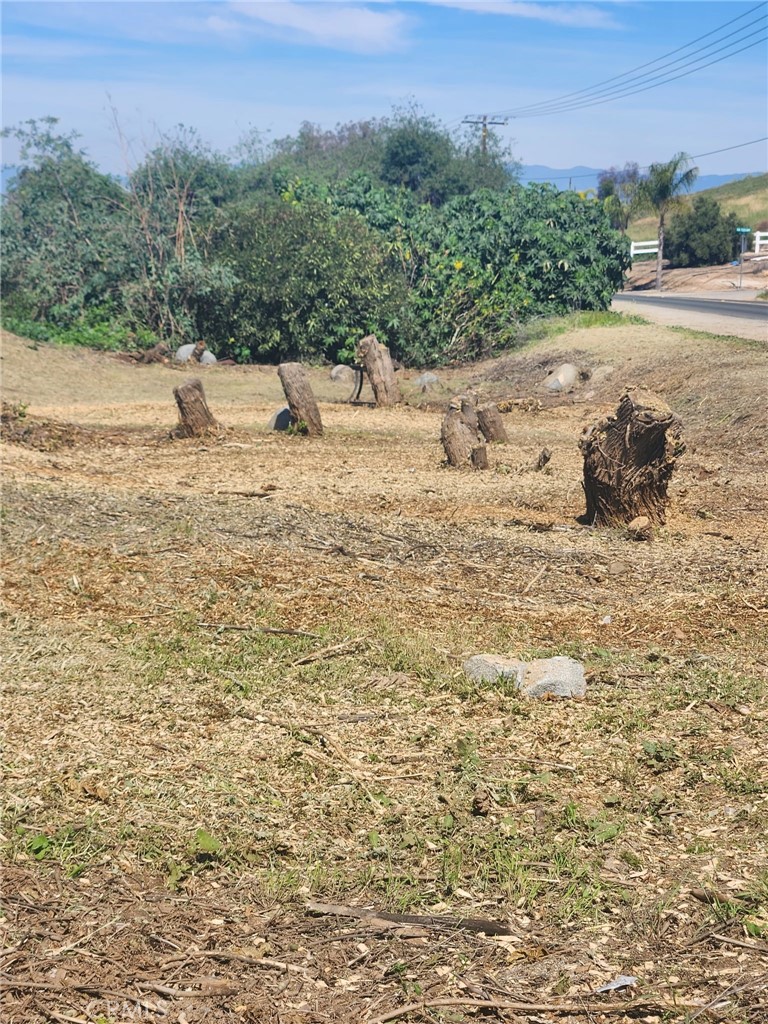 0 McAllister Street Riverside, CA 92503 - Photo 5 of 7 a view of a road with a yard
