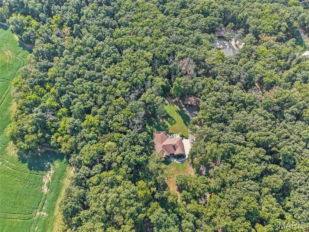 8539 Beaucoup Township Road Ashley, IL 62808 - Photo 63 of 70 Gallery Image 63