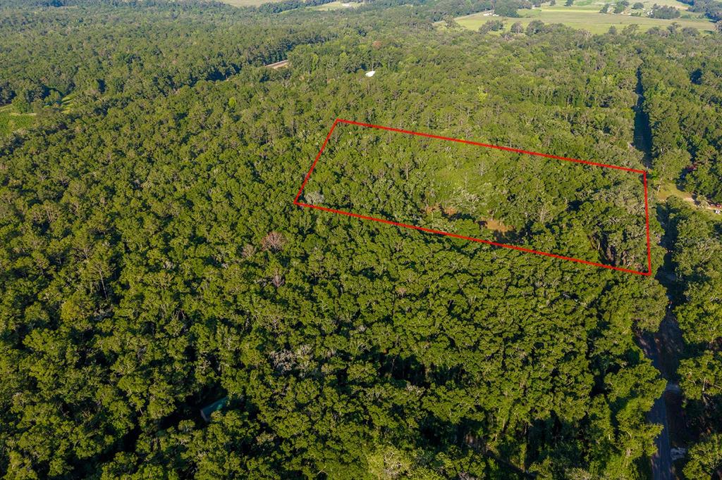 6016 Southwest 52nd Terrace Lake Butler, FL 32054 - Photo 10 of 11