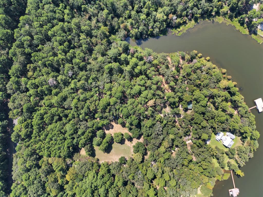 Lot 20 Eastside Road Tyler, TX 75707 - Photo 15 of 24 a view of a lake with a tree