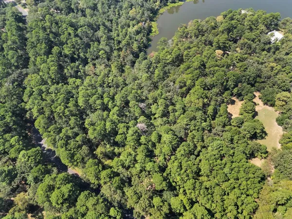 a view of outdoor space with trees