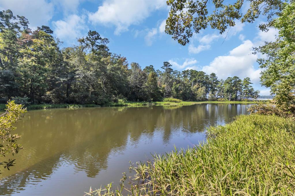 Lot 20 Eastside Road Tyler, TX 75707 - Photo 23 of 24 a view of a lake with a lake
