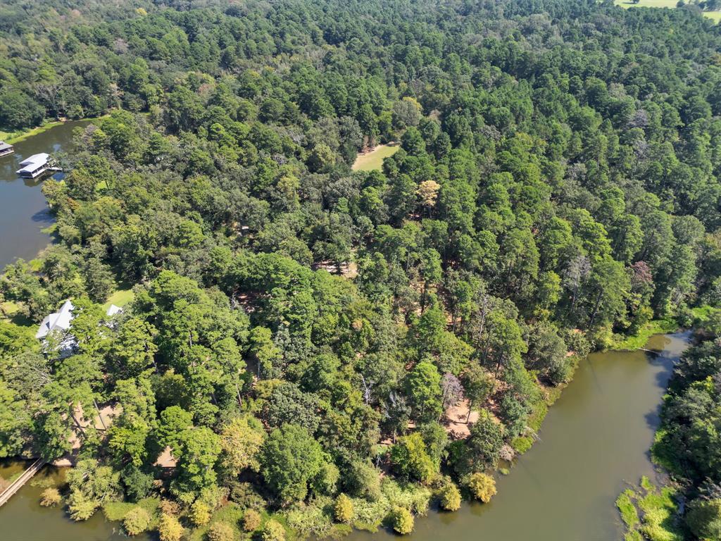 Lot 20 Eastside Road Tyler, TX 75707 - Photo 3 of 24 a view of a lake with a forest