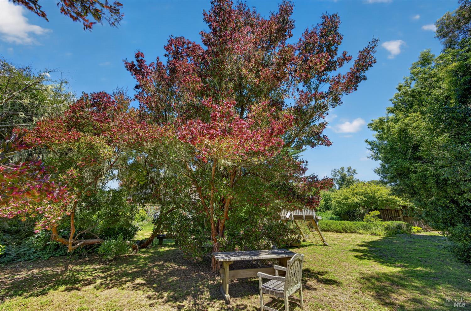 385 Cedar Road Bolinas, CA 94924 - Photo 51 of 70