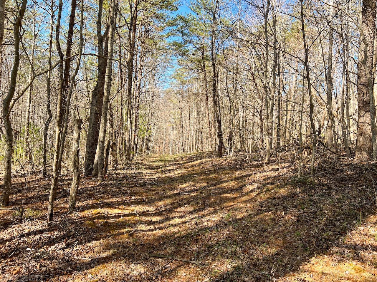 0 Brammer Spur Road Woolwine, VA 24185 - Photo 21 of 39 Gallery Image 21