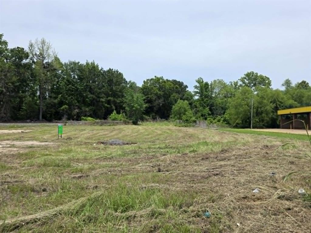 1.56-acres Mill Road West Logansport, LA 71049 - Photo 5 of 5