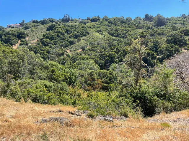 a view of a yard covered with snow