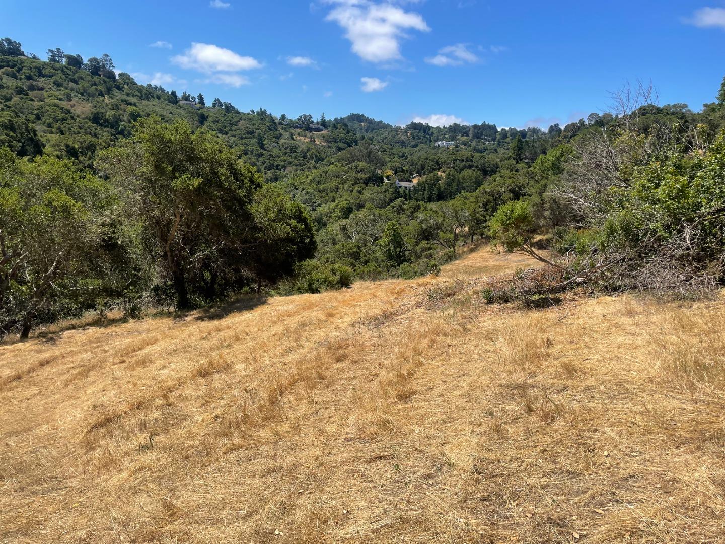 0 Tartan Trail Road Hillsborough, CA 94010 - Photo 7 of 10 a view of a dry yard