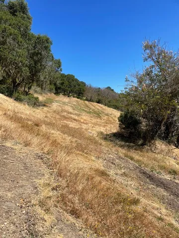 $4,750,000 | 0 Tartan Trail Road, Hillsborough, CA 94010