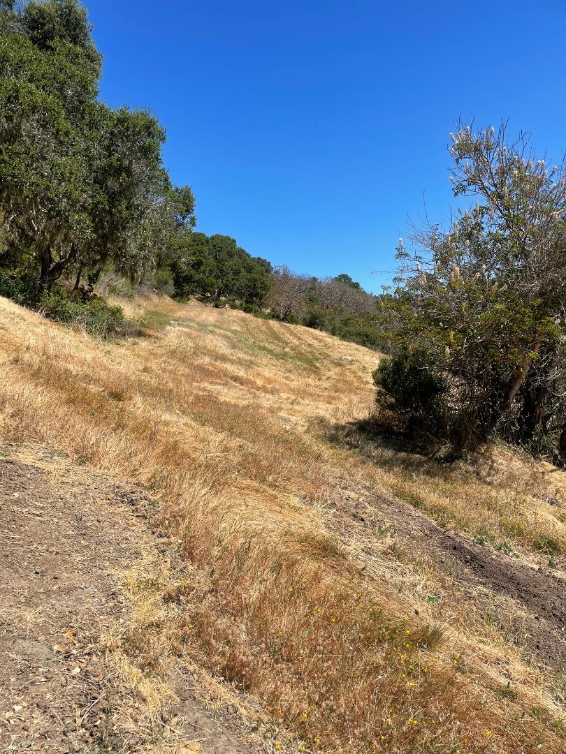 0 Tartan Trail Road Hillsborough, CA 94010 - Photo 8 of 10 a view of mountain view with mountain