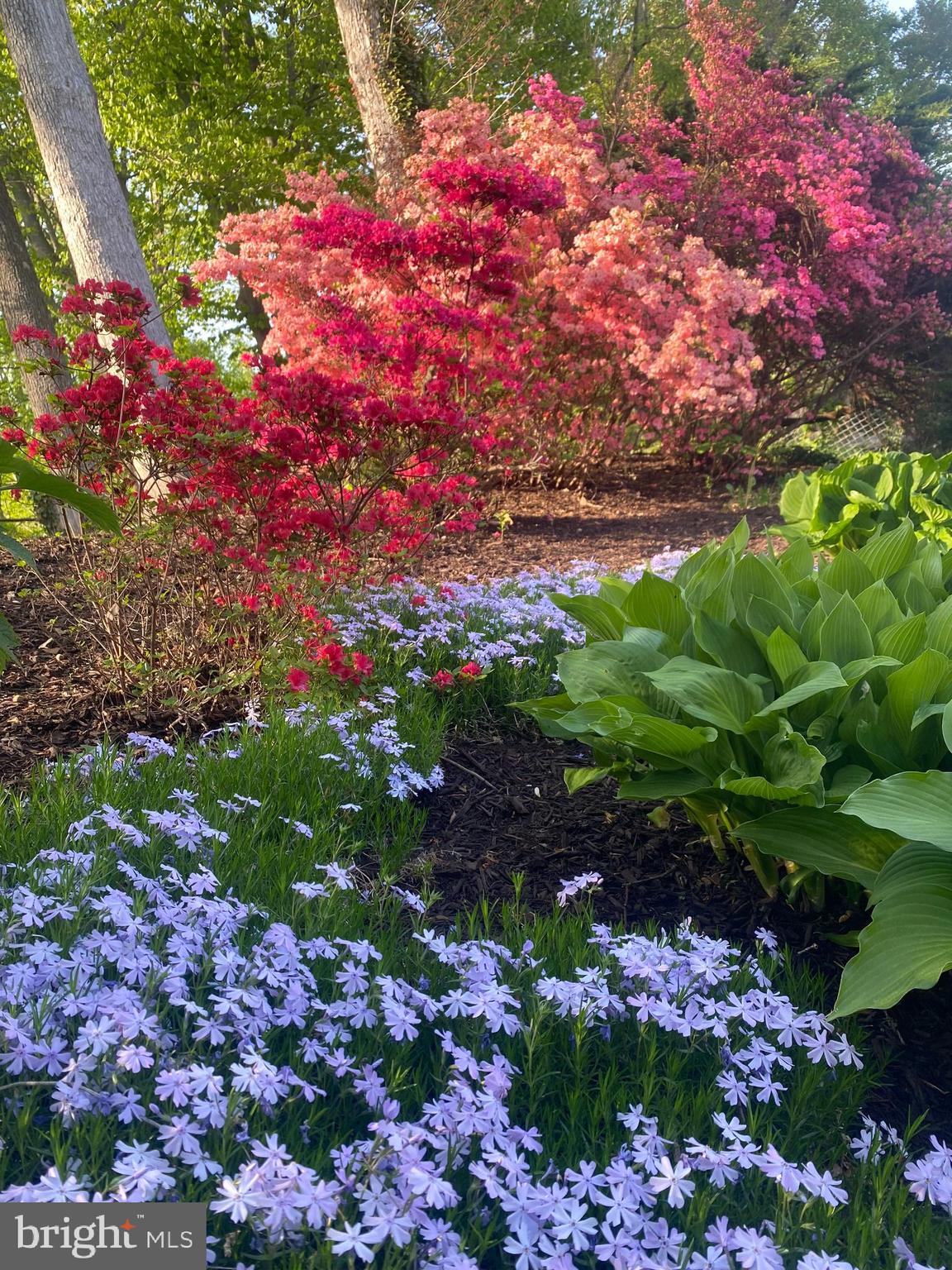 7623 Mendota Place Springfield, VA 22150 - Photo 8 of 14 LOVELY GARDENS