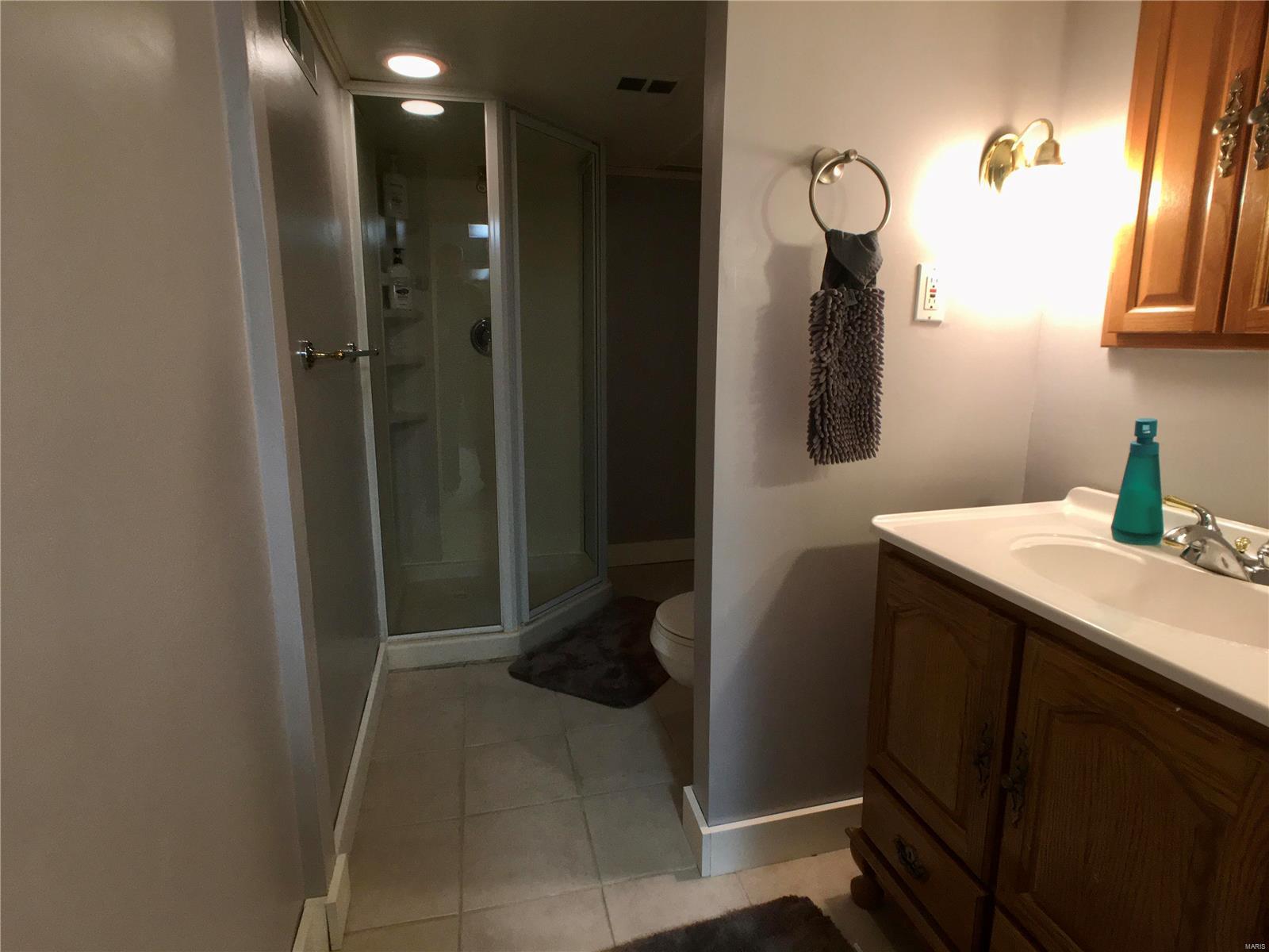 7207 Rockspring Drive St. Louis, MO 63123 - Photo 22 of 25 Gallery Image 22