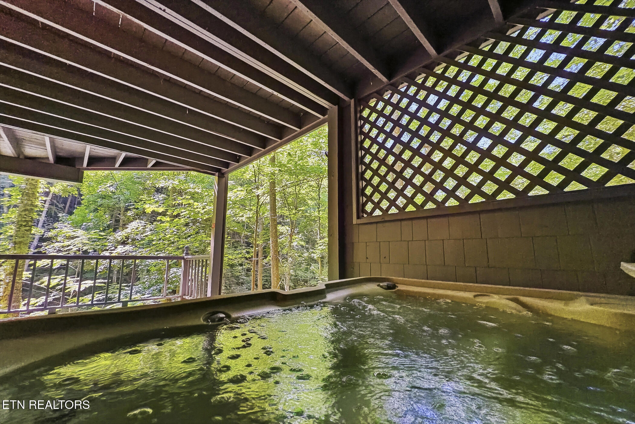 2685 South Clear Fork Road Sevierville, TN 37862 - Photo 34 of 55 img_2472