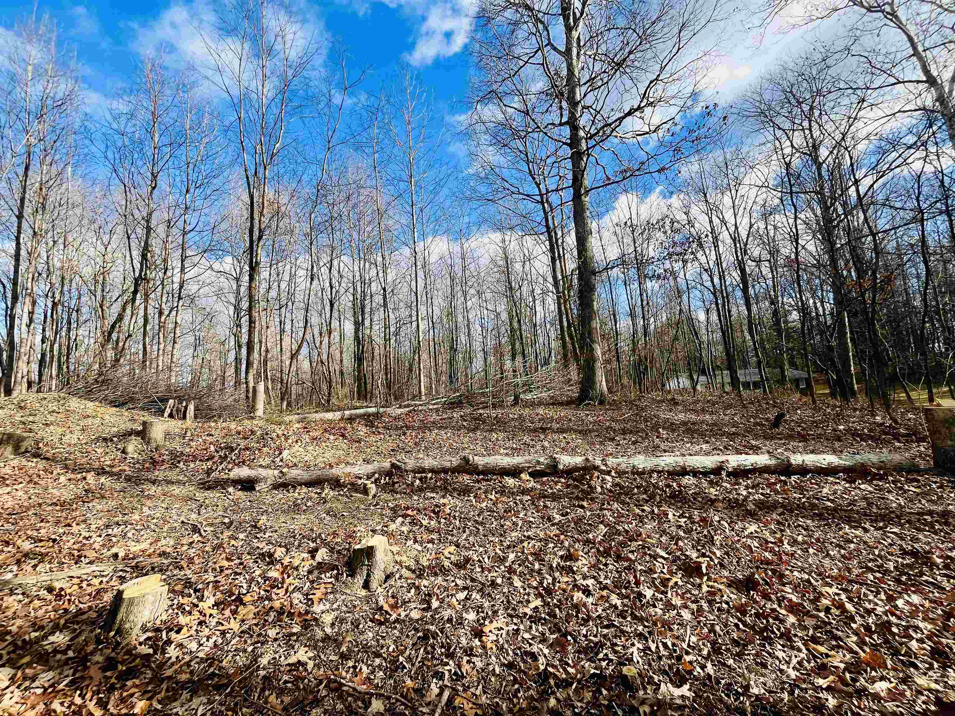 Tbd Jerusalem Chapel Road Churchville, VA 24421 - Photo 3 of 11 Gallery Image 3