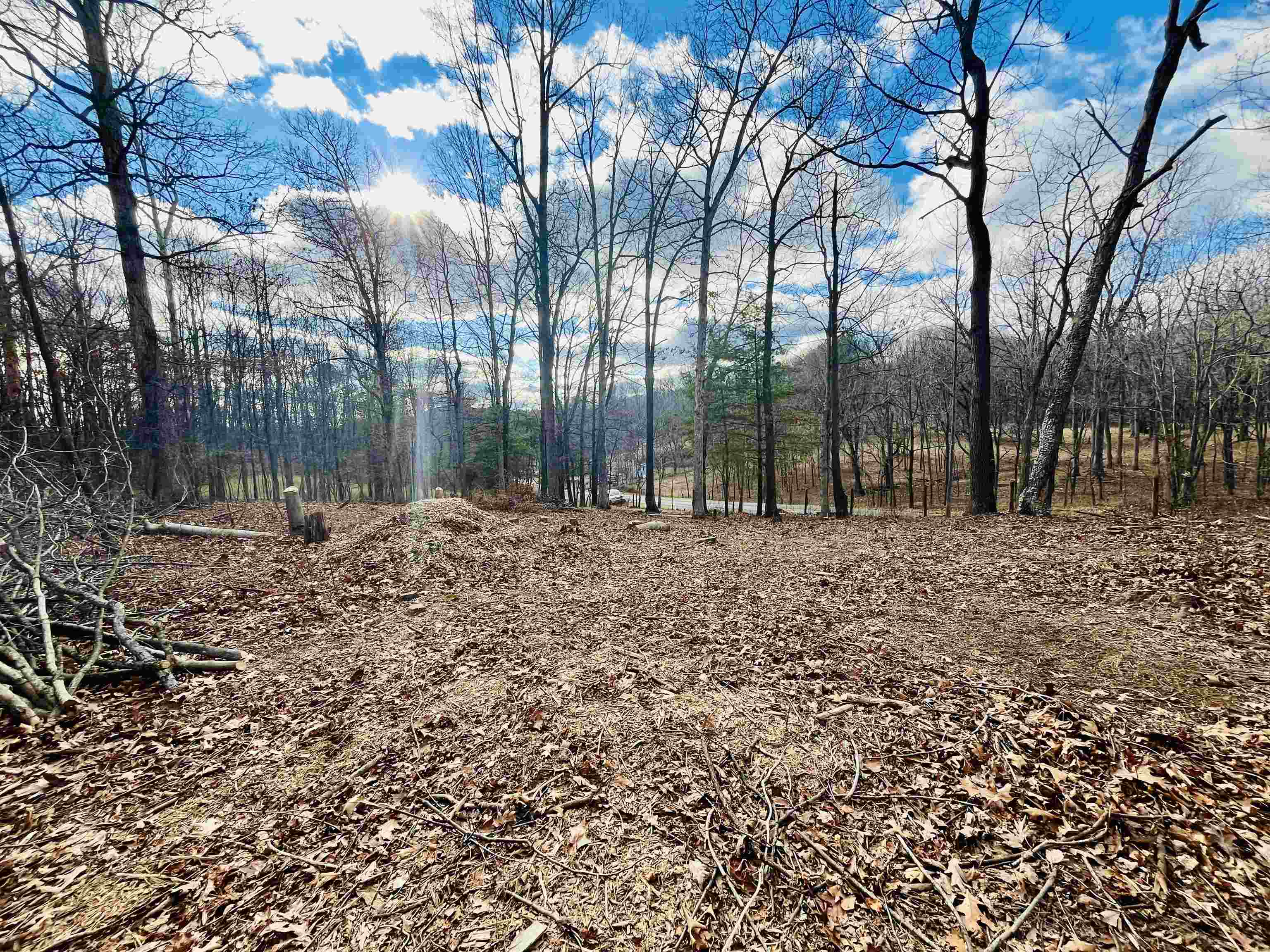 Tbd Jerusalem Chapel Road Churchville, VA 24421 - Photo 6 of 11 Gallery Image 6