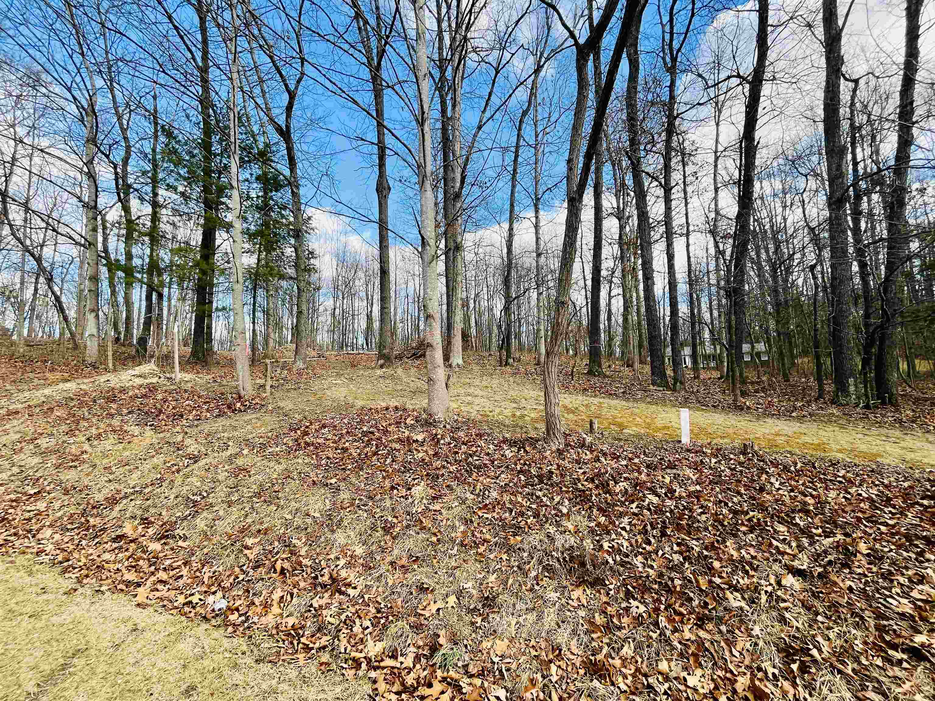 Tbd Jerusalem Chapel Road Churchville, VA 24421 - Photo 8 of 11 Gallery Image 8