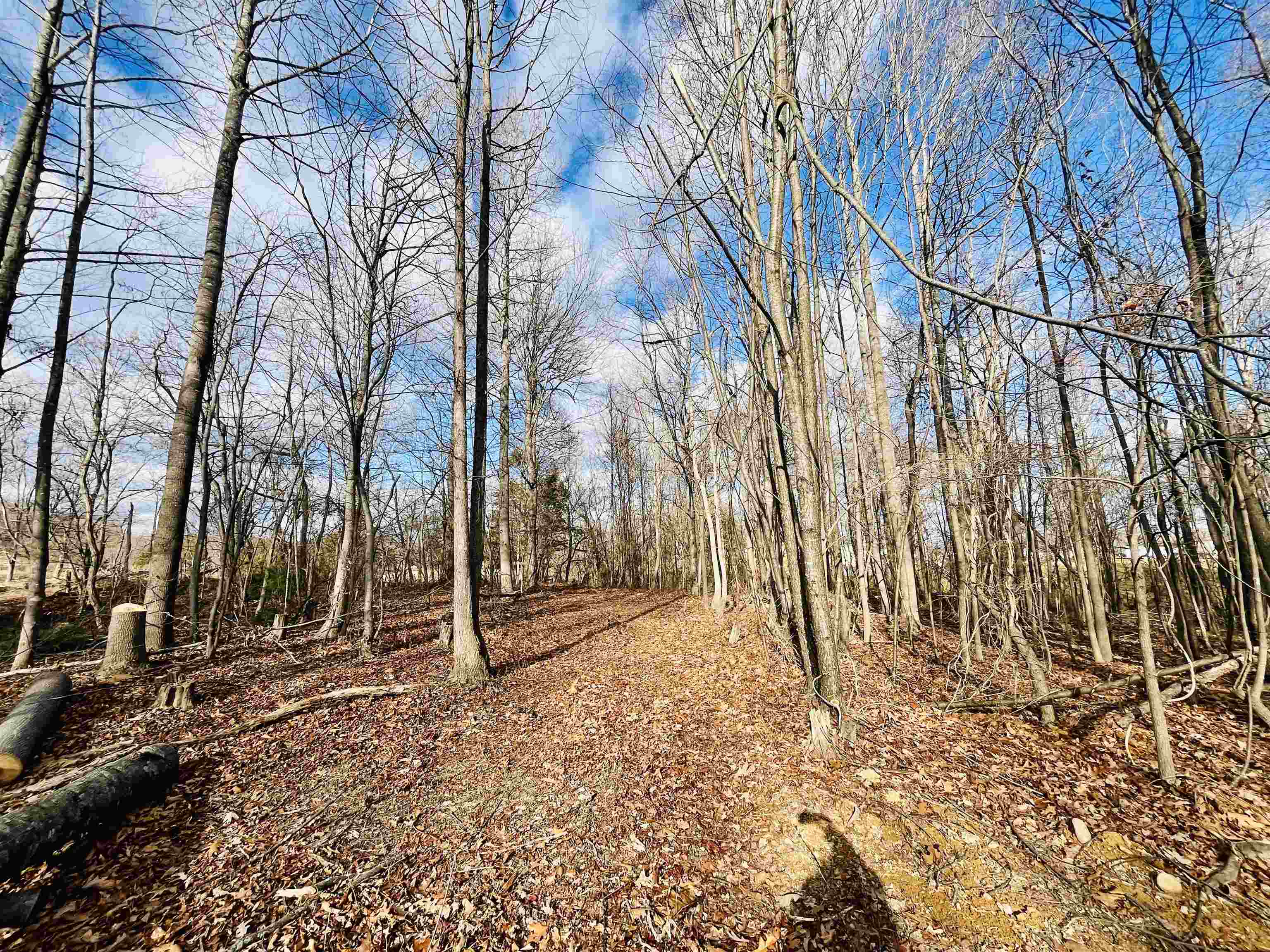 Tbd Jerusalem Chapel Road Churchville, VA 24421 - Photo 10 of 11 Gallery Image 10