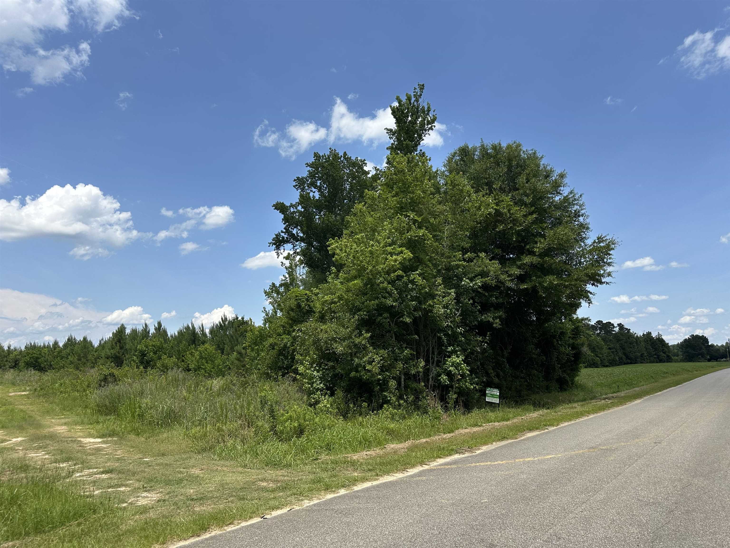 Tbd Church Road Green Sea, SC 29545 - Photo 1 of 19