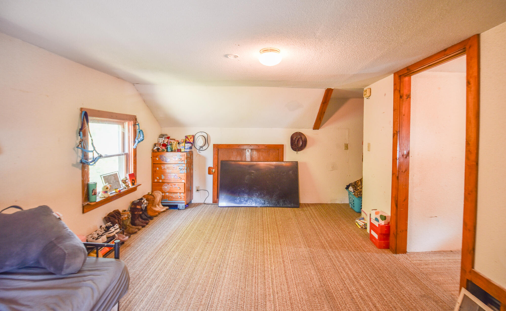 112 Cutter Avenue Coldwater, MI 49036 - Photo 29 of 38 DSC_0056