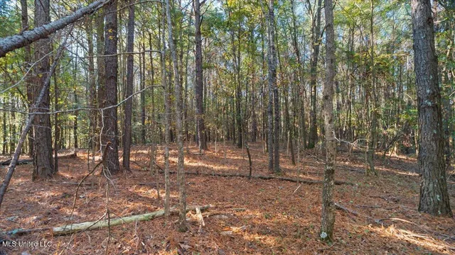 $36,000 | Jimmie Drive, Forest, MS 39074