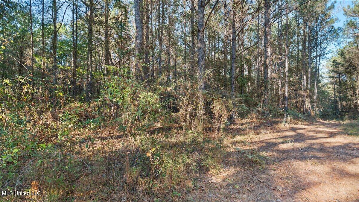 Jimmie Drive Forest, MS 39074 - Photo 11 of 11 17-IMG_3842